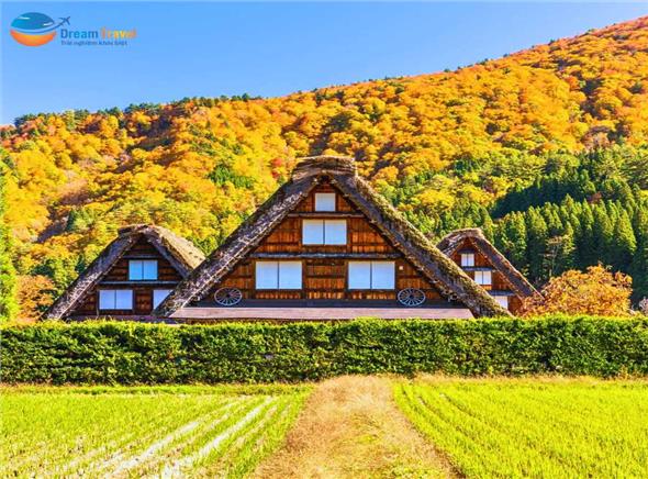 Tour Nhật Bản Mùa Thu Shirakawago - Matsumoto - Phú Sĩ - Tokyo